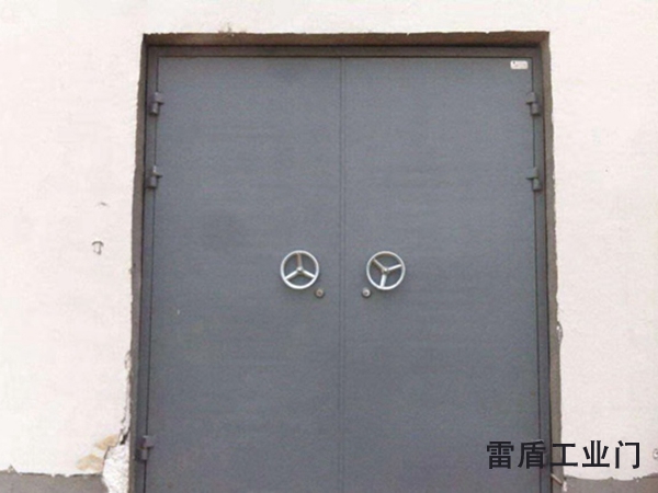 工业特种门 