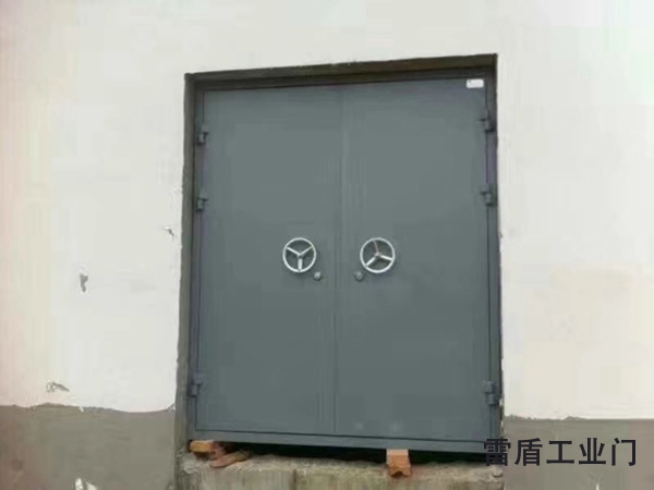 工业特种门 